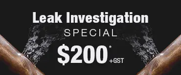 Leak Investigation Discount Greenwoods Corner